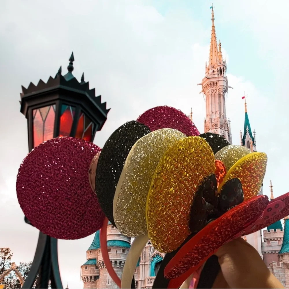 Mickey ears bundle of 2